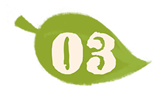 03