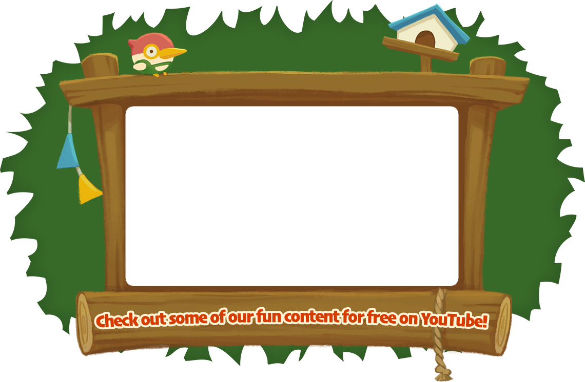Video Frame